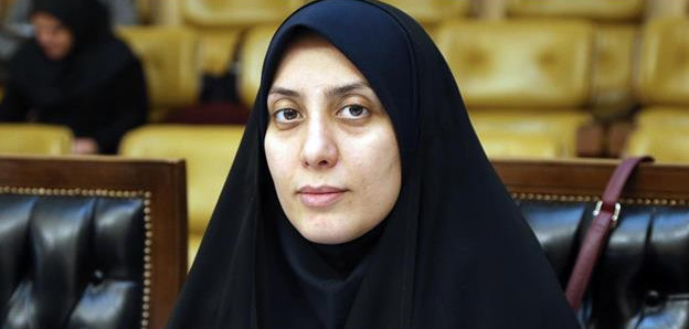 اخبار,اخبار سیاسی,حمیده زرآبادی