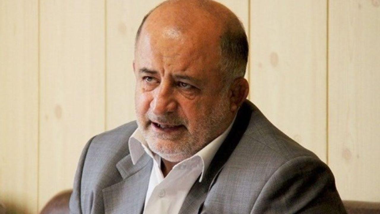 اخبار,اخبار سیاسی,نادر قاضی‌پور