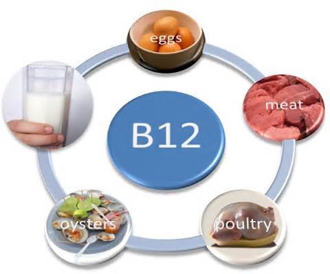 اخبار پزشکی ,خبرهای پزشکی , ویتامین B12 اخبار پزشکی ,خبرهای پزشکی, ویتامین B12