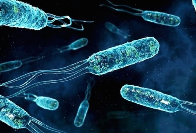 اخبار علمی,خبرهای علمی ,شناسایی زیردریاییهای دشمن اخبار علمی ,خبرهای علمی,شناسایی زیردریاییهای دشمن