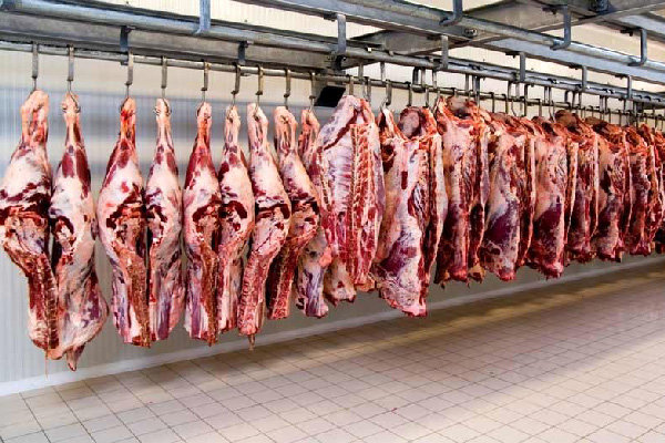 اخبار اقتصادی ,خبرهای اقتصادی ,گوشت قرمز اخبار اقتصادی ,خبرهای اقتصادی ,گوشت قرمز