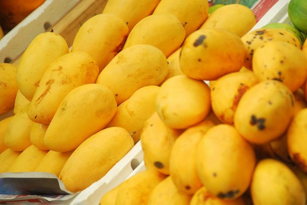 اخبار پزشکی ,خبرهای پزشکی , مصرف انبه اخبار پزشکی ,خبرهای پزشکی, مصرف انبه
