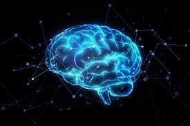 اخبار علمی,خبرهای علمی ,نورونها اخبار علمی ,خبرهای علمی,نورونها