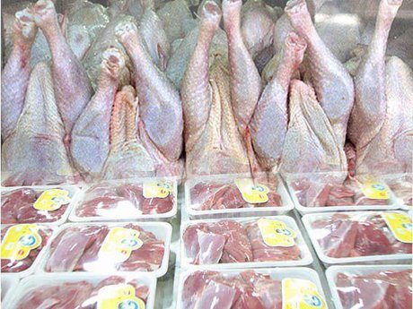 اخبار اقتصادی ,خبرهای اقتصادی ,توزیع گوشت منجمد اخبار اقتصادی ,خبرهای اقتصادی ,توزیع گوشت منجمد