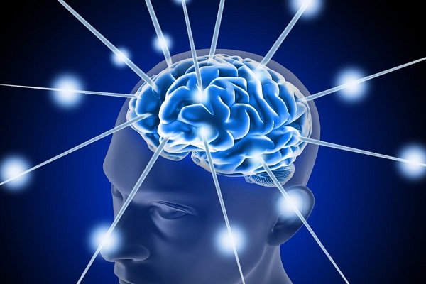 اخبار علمی,خبرهای علمی ,زوال عقل اخبار علمی ,خبرهای علمی,زوال عقل