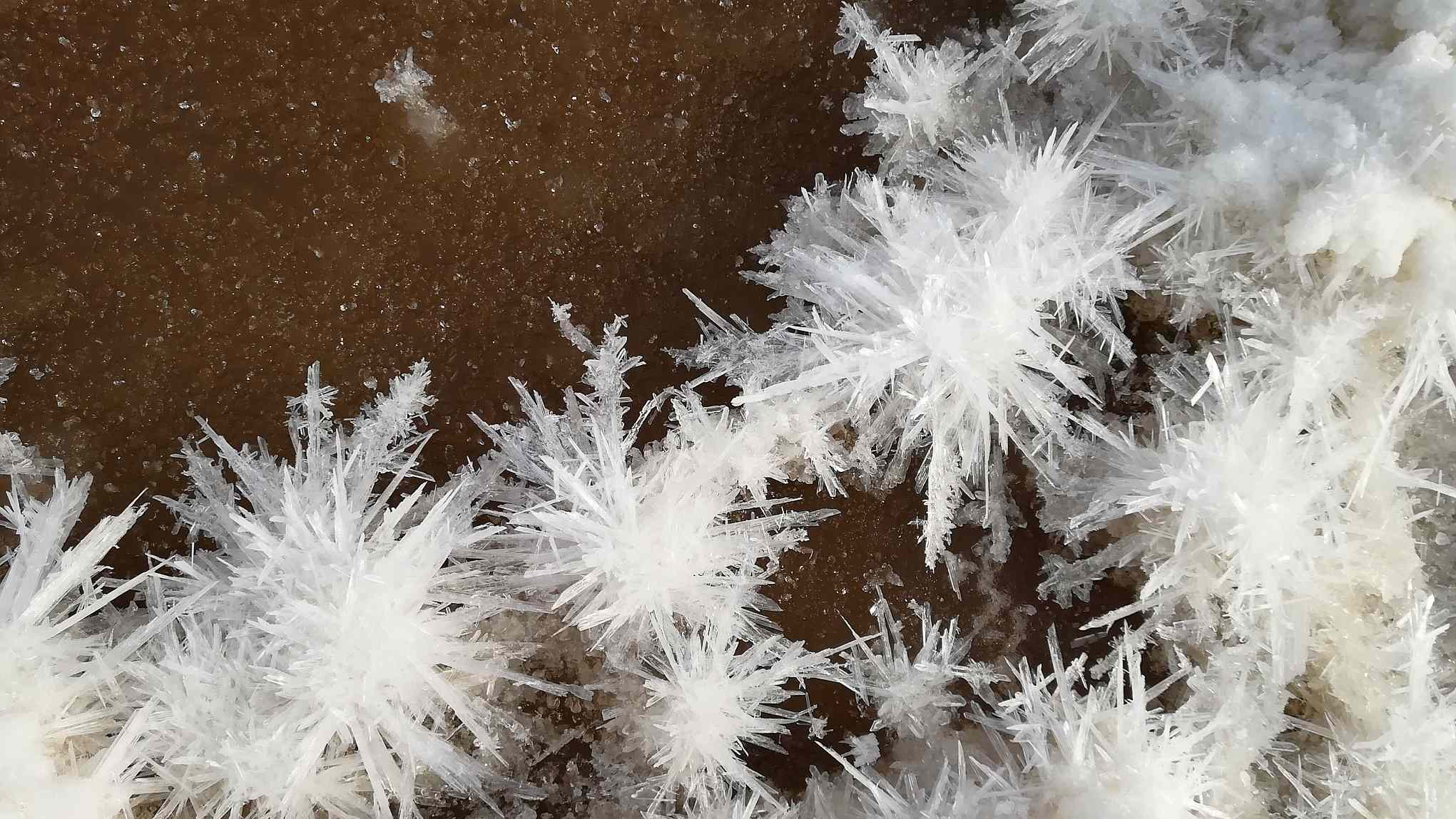 اخبارگوناگون,خبرهای گوناگون ,شکوفههای جادویی منیزیم اخبارگوناگون,خبرهای گوناگون ,شکوفههای جادویی منیزیم