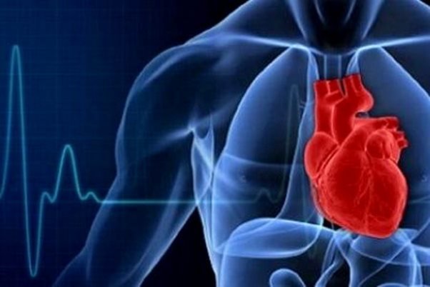 اخبار پزشکی ,خبرهای پزشکی , تپش قلب اخبار پزشکی ,خبرهای پزشکی, تپش قلب