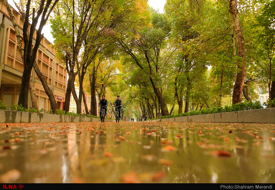 اخباراجتماعی ,خبرهای اجتماعی ,پاییز در اصفهان اخبار اجتماعی ,خبرهای اجتماعی,پاییز در اصفهان