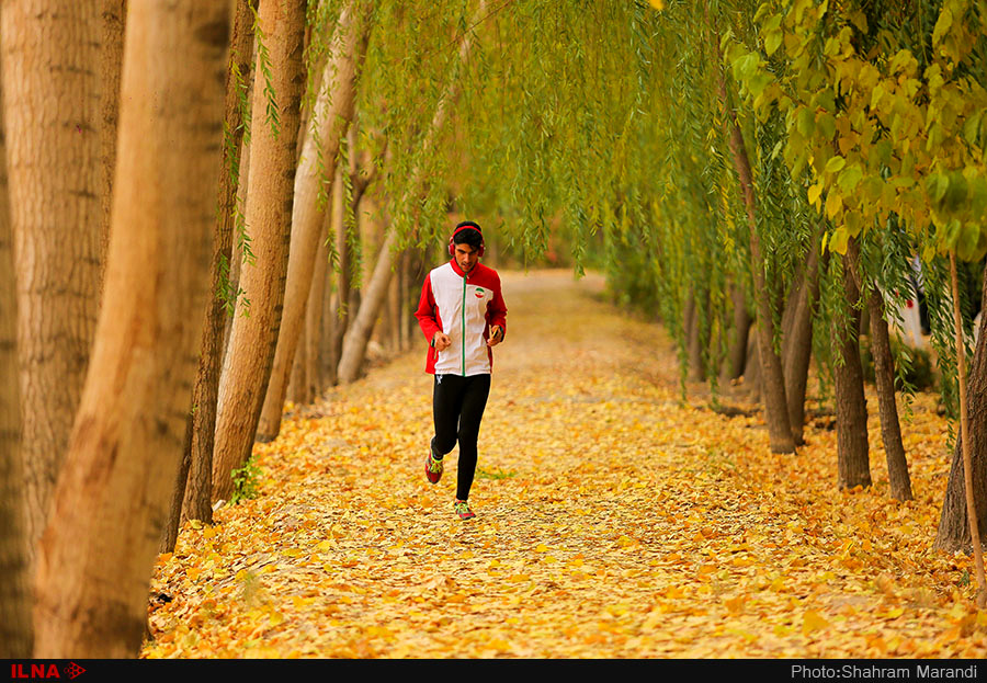اخباراجتماعی ,خبرهای اجتماعی ,پاییز در اصفهان اخبار اجتماعی ,خبرهای اجتماعی,پاییز در اصفهان