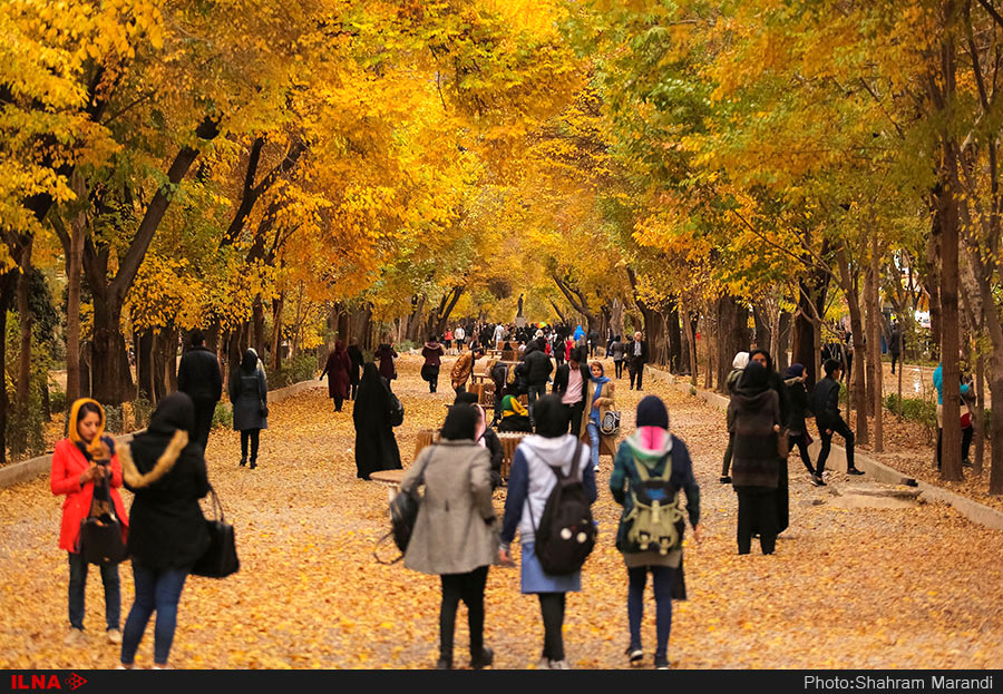 اخباراجتماعی ,خبرهای اجتماعی ,پاییز در اصفهان اخبار اجتماعی ,خبرهای اجتماعی,پاییز در اصفهان