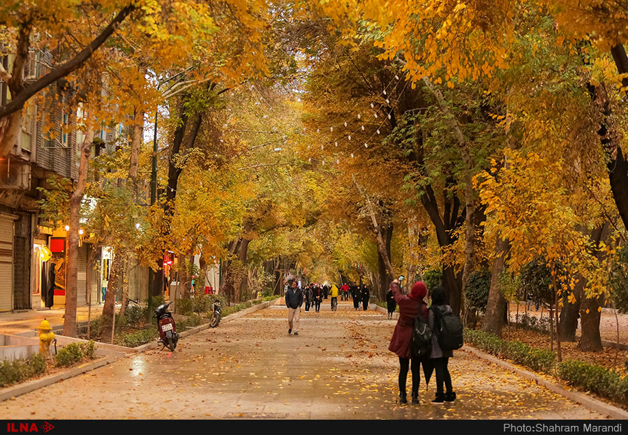 اخباراجتماعی ,خبرهای اجتماعی ,پاییز در اصفهان اخبار اجتماعی ,خبرهای اجتماعی,پاییز در اصفهان