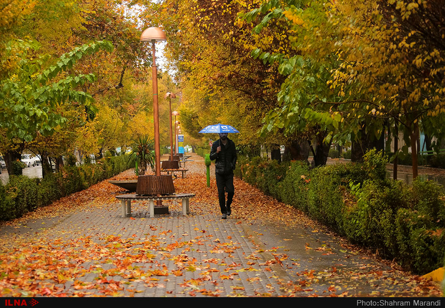 اخباراجتماعی ,خبرهای اجتماعی ,پاییز در اصفهان اخبار اجتماعی ,خبرهای اجتماعی,پاییز در اصفهان