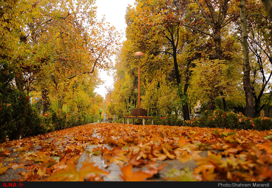 اخباراجتماعی ,خبرهای اجتماعی ,پاییز در اصفهان اخبار اجتماعی ,خبرهای اجتماعی,پاییز در اصفهان