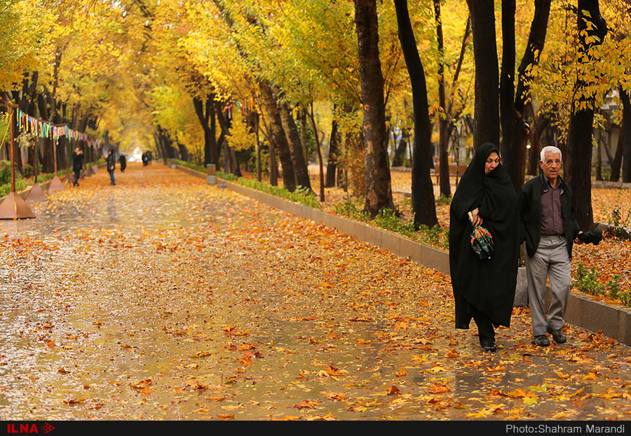  اخبار اجتماعی ,خبرهای اجتماعی,پاییز در اصفهان 