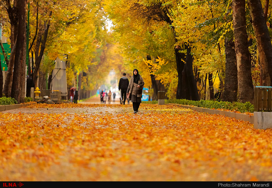  اخبار اجتماعی ,خبرهای اجتماعی,پاییز در اصفهان 