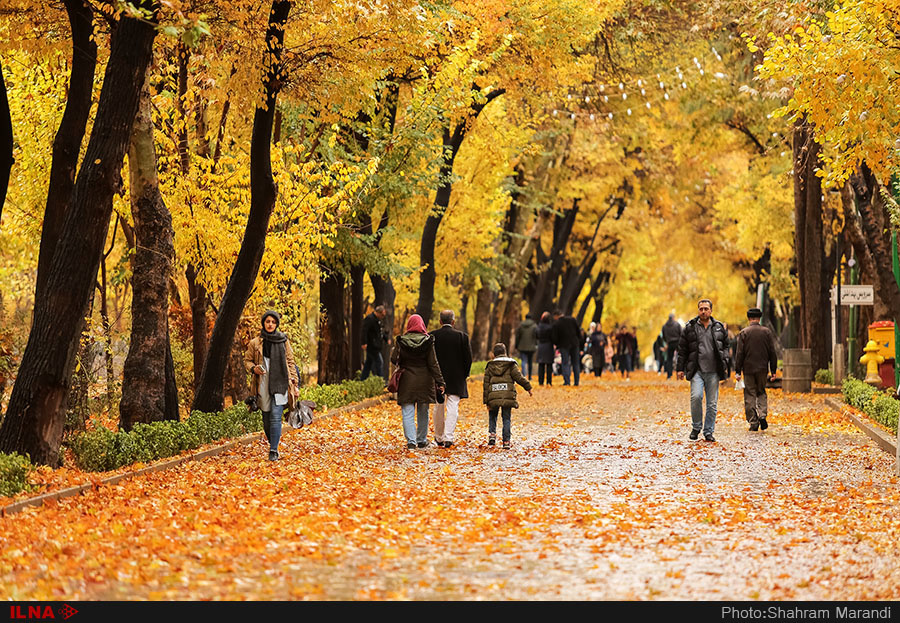 اخباراجتماعی ,خبرهای اجتماعی ,پاییز در اصفهان اخبار اجتماعی ,خبرهای اجتماعی,پاییز در اصفهان