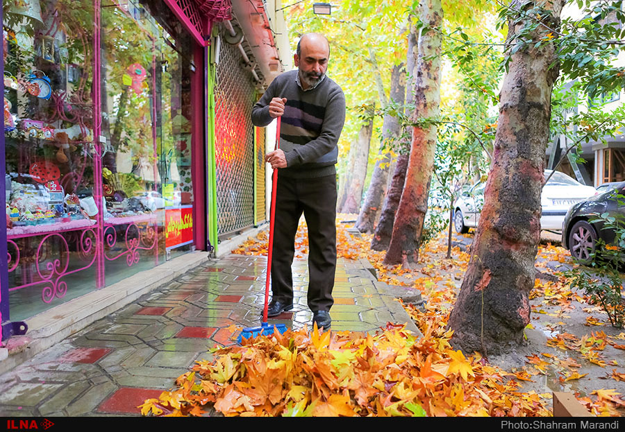 اخباراجتماعی ,خبرهای اجتماعی ,پاییز در اصفهان اخبار اجتماعی ,خبرهای اجتماعی,پاییز در اصفهان