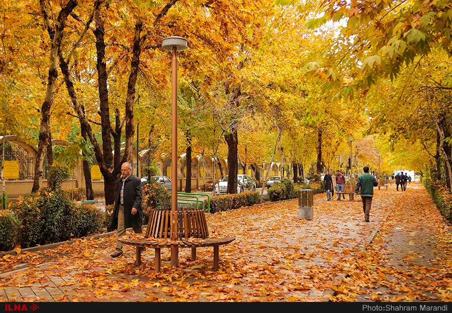 اخباراجتماعی ,خبرهای اجتماعی ,پاییز در اصفهان اخبار اجتماعی ,خبرهای اجتماعی,پاییز در اصفهان