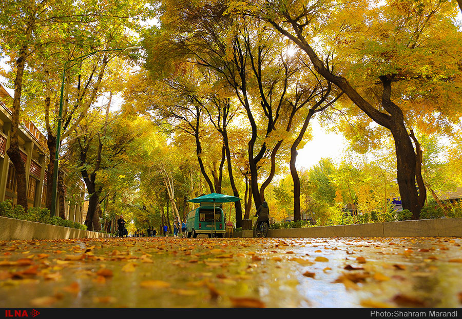 اخباراجتماعی ,خبرهای اجتماعی ,پاییز در اصفهان اخبار اجتماعی ,خبرهای اجتماعی,پاییز در اصفهان