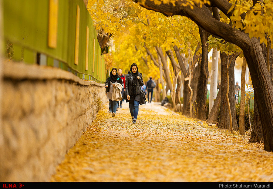 اخباراجتماعی ,خبرهای اجتماعی ,پاییز در اصفهان اخبار اجتماعی ,خبرهای اجتماعی,پاییز در اصفهان