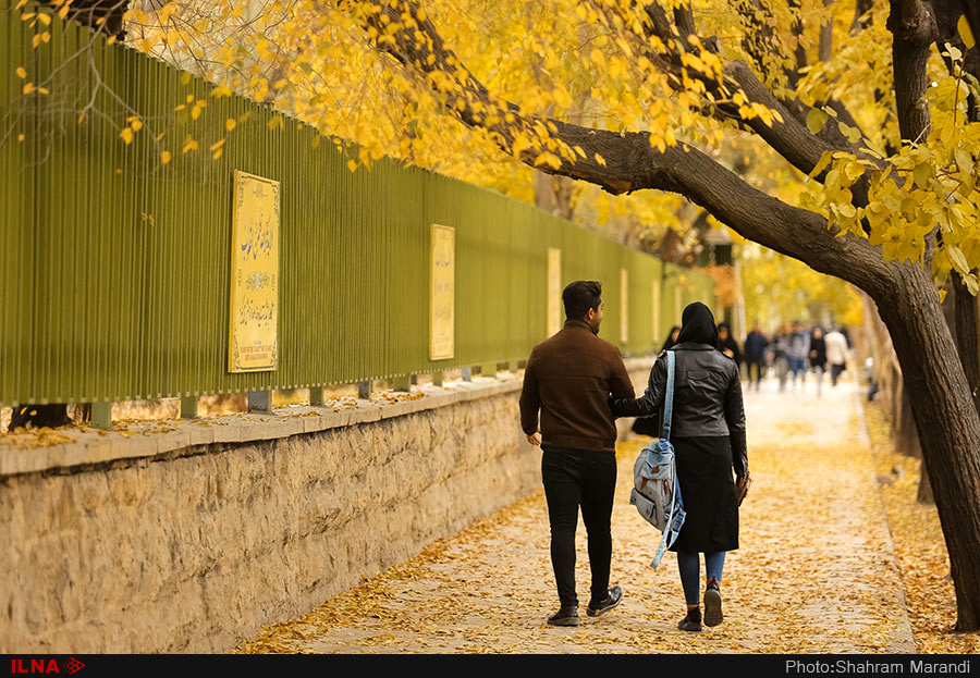 اخباراجتماعی ,خبرهای اجتماعی ,پاییز در اصفهان اخبار اجتماعی ,خبرهای اجتماعی,پاییز در اصفهان