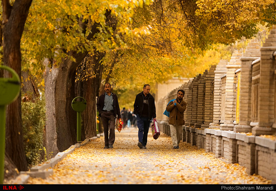 اخباراجتماعی ,خبرهای اجتماعی ,پاییز در اصفهان اخبار اجتماعی ,خبرهای اجتماعی,پاییز در اصفهان