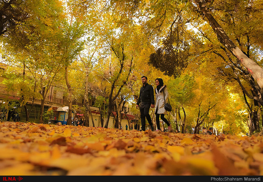 اخباراجتماعی ,خبرهای اجتماعی ,پاییز در اصفهان اخبار اجتماعی ,خبرهای اجتماعی,پاییز در اصفهان