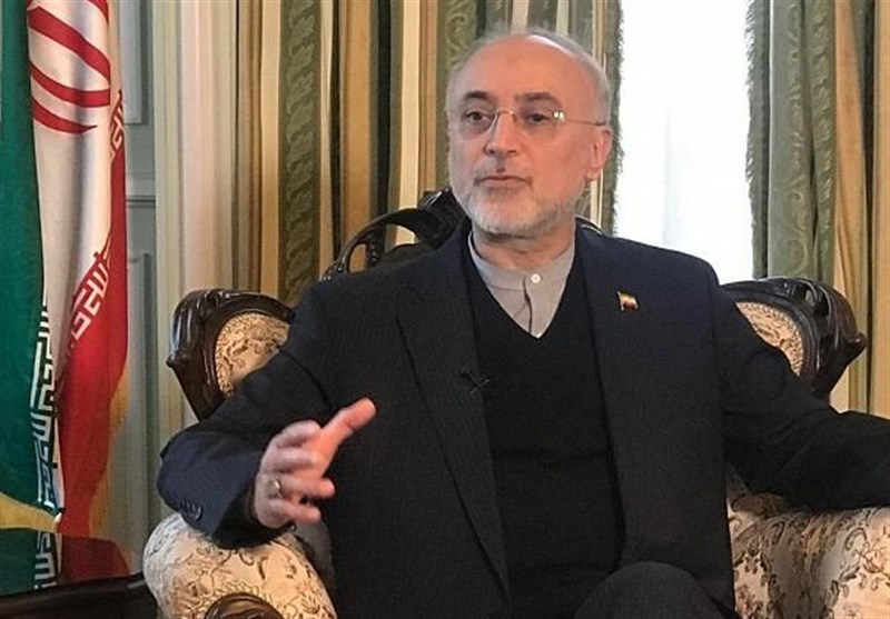 اخبار,اخبار سیاست خارجی,علی اکبر صالحی اخبار,اخبار سیاست خارجی,علی اکبر صالحی