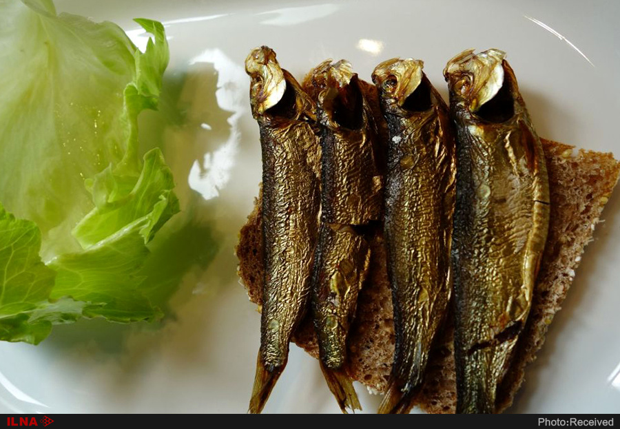 اخبارگوناگون,خبرهای گوناگون ,میز کریسمس اخبارگوناگون,خبرهای گوناگون ,میز کریسمس