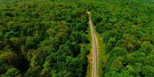 اخبار اقتصادی ,خبرهای اقتصادی ,سازمان برنامه و بودجه اخبار اقتصادی ,خبرهای اقتصادی ,سازمان برنامه و بودجه
