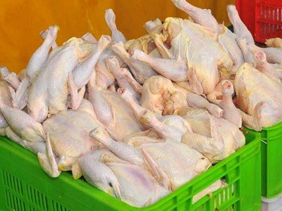 اخبار اقتصادی ,خبرهای اقتصادی ,نرخ مرغ اخبار اقتصادی ,خبرهای اقتصادی ,نرخ مرغ