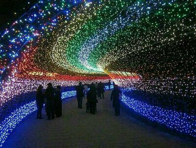 اخبار پزشکی ,خبرهای پزشکی ,آلودگی نوری اخبار پزشکی ,خبرهای پزشکی,آلودگی نوری