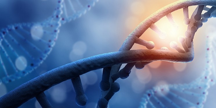اخبار پزشکی ,خبرهای پزشکی ,بررسی DNA اخبار پزشکی ,خبرهای پزشکی,بررسی DNA