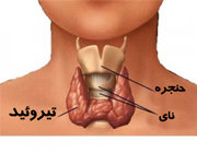  اخبار پزشکی ,خبرهای پزشکی,تیروئید