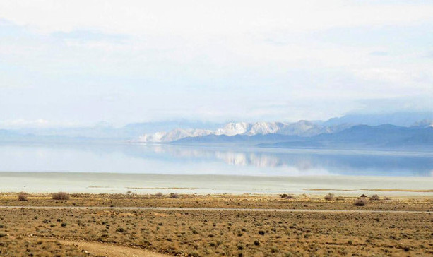 اخبار,اخبار اجتماعی