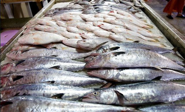 اخبار,اخبار اقتصادی,ماهی اخبار,اخبار اقتصادی,ماهی