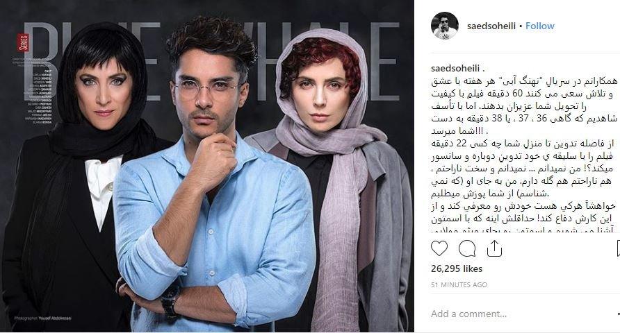 اخبار,اخبار فرهنگی,سریال نهنگ آبی