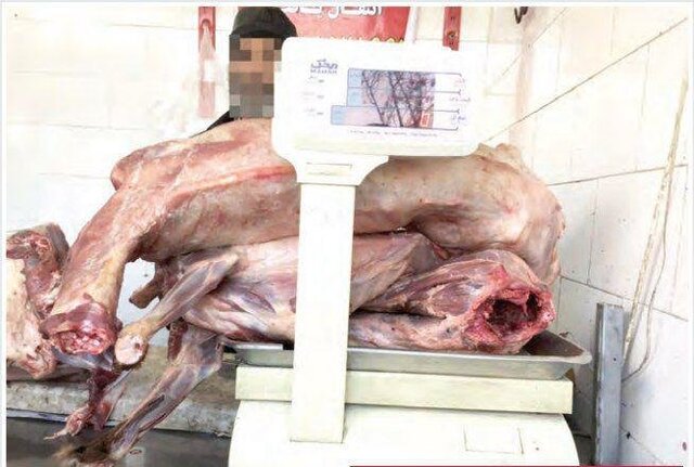 اخبار,اخباراجتماعی,گوشت سگ