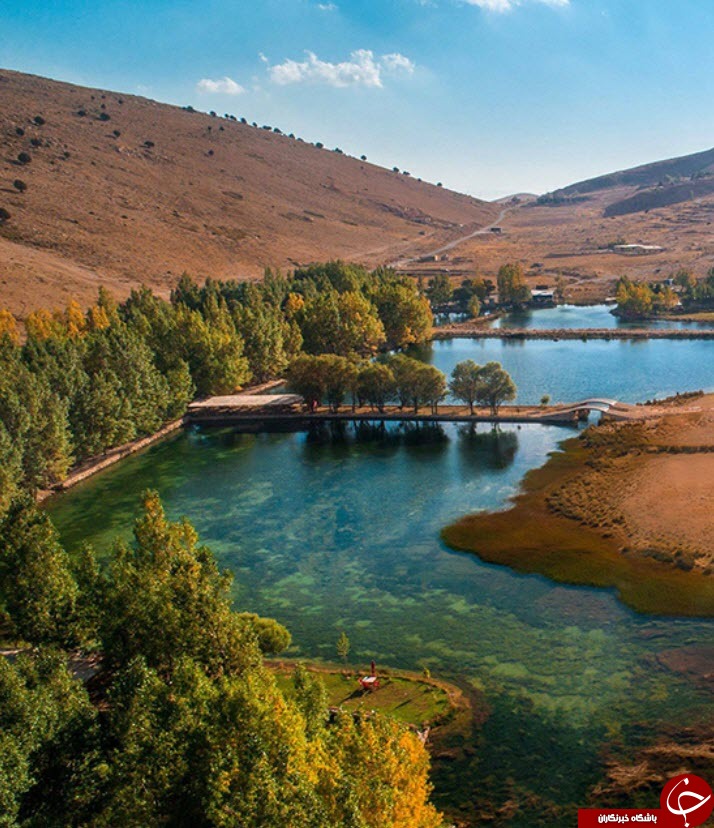 اخبار,اخبارگوناگون,مروارید خاورمیانه