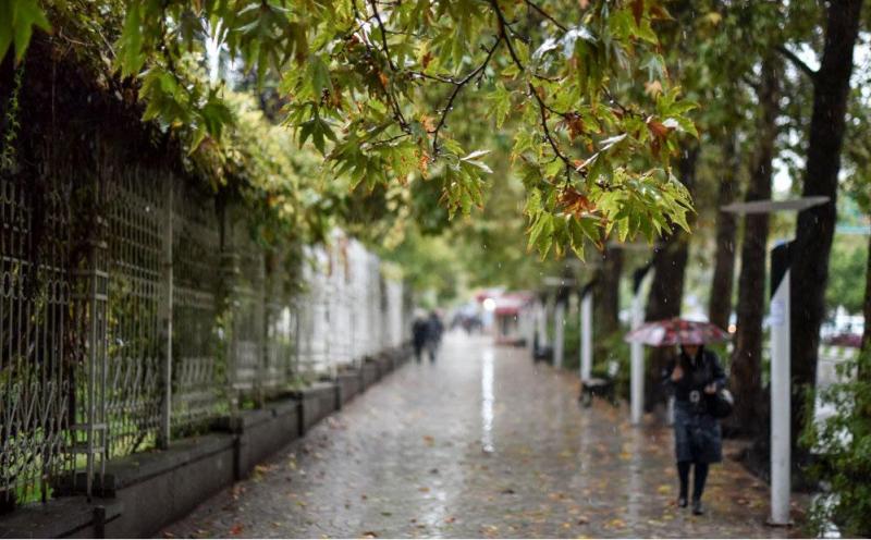 اخباراجتماعی ,خبرهای اجتماعی ,هواشناسی اخبار اجتماعی ,خبرهای اجتماعی,هواشناسی