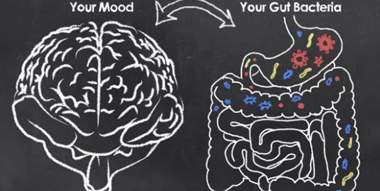  اخبار پزشکی ,خبرهای پزشکی, افسردگی در روده