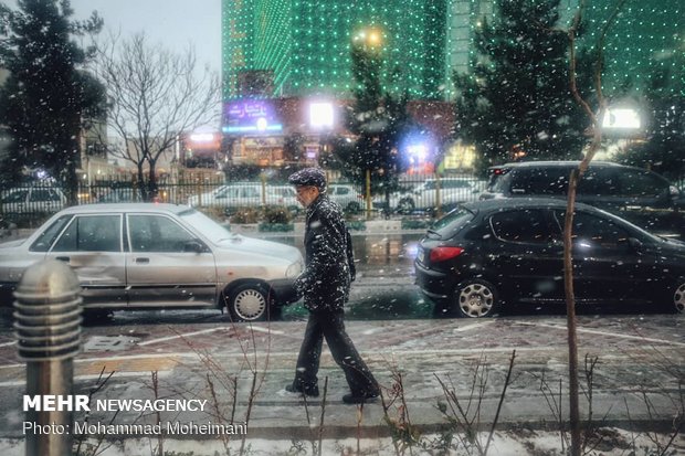 اخباراجتماعی ,خبرهای اجتماعی ,برف و باران اخبار اجتماعی ,خبرهای اجتماعی,برف و باران