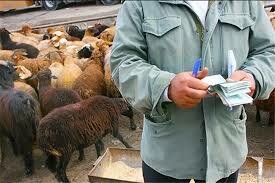 اخبار اقتصادی ,خبرهای اقتصادی ,قاچاق دام اخبار اقتصادی ,خبرهای اقتصادی ,قاچاق دام