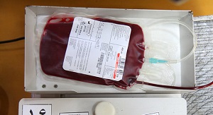  اخبار پزشکی ,خبرهای پزشکی,سازمان انتقال خون