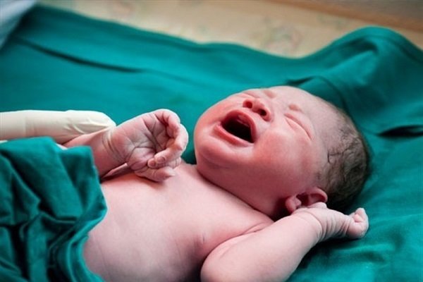 اخبار پزشکی ,خبرهای پزشکی ,پیررابین اخبار پزشکی ,خبرهای پزشکی,پیررابین