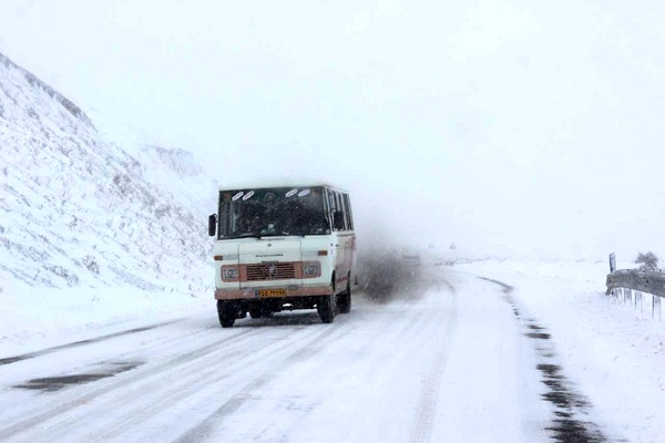 اخبار,اخبار اجتماعی