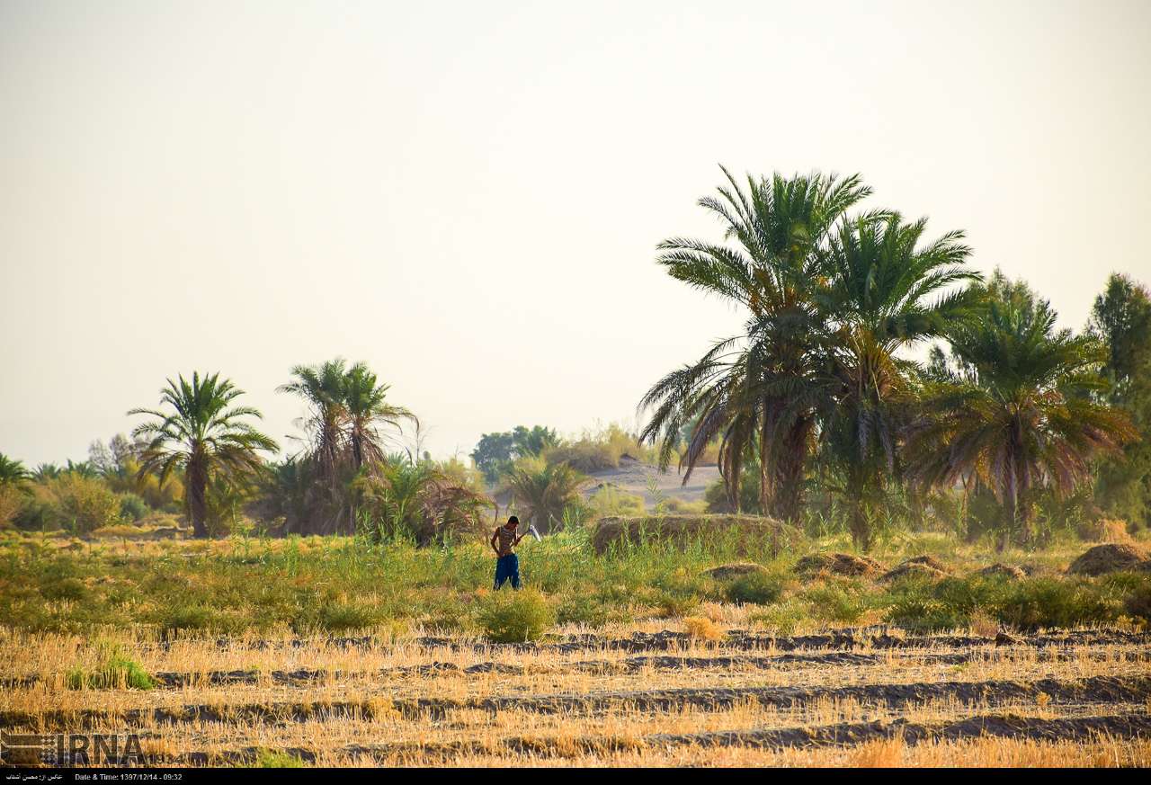 اخبار,عکس خبری, زیبایی‌های بلوچستان