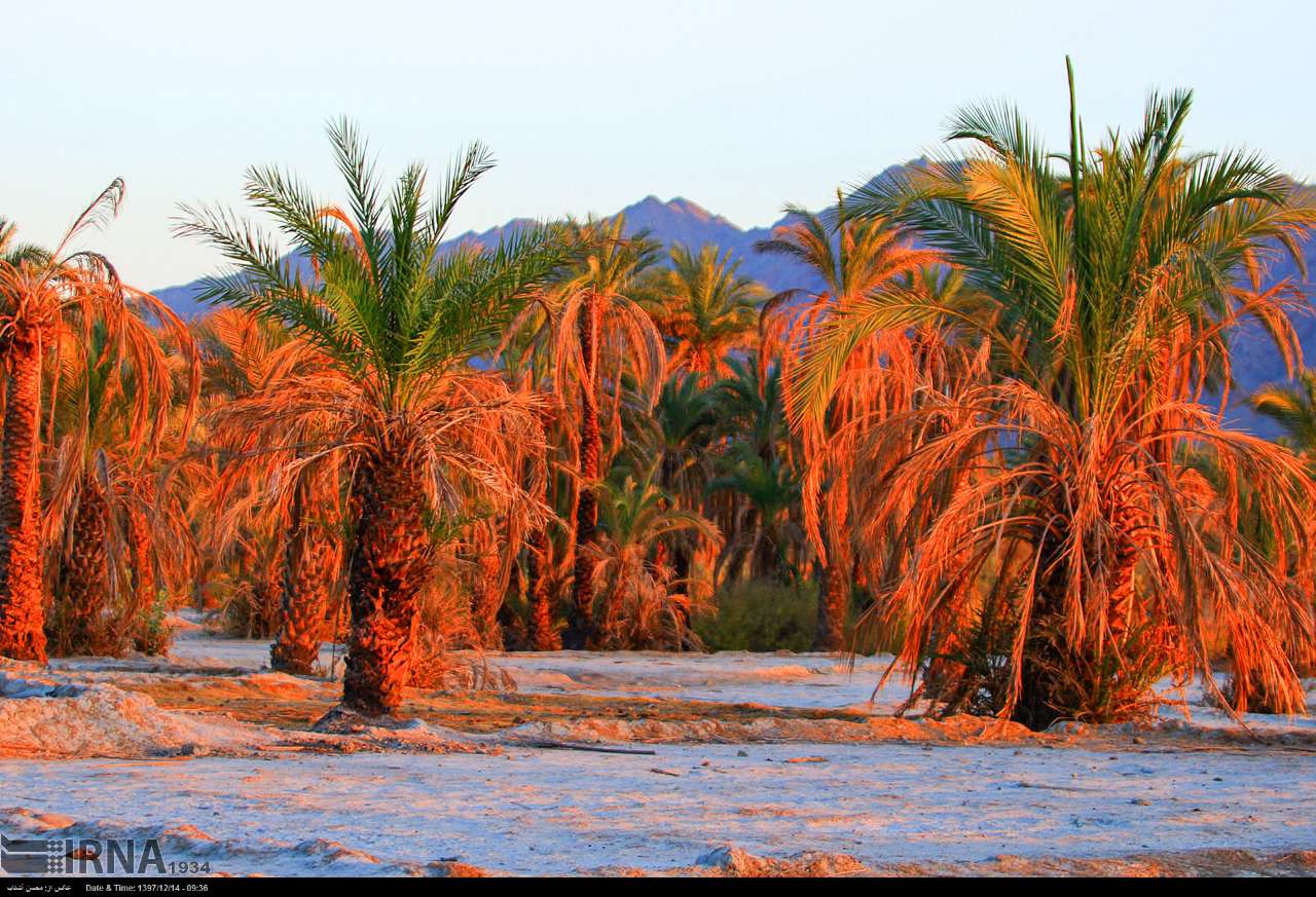 اخبار,عکس خبری, زیبایی‌های بلوچستان