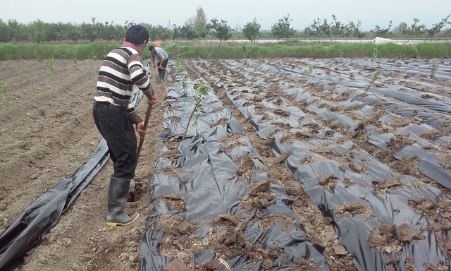 اخبار اقتصادی ,خبرهای اقتصادی ,بحران آبی اخبار اقتصادی ,خبرهای اقتصادی ,بحران آبی