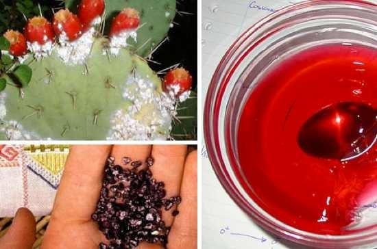 اخبارگوناگون,خبرهای گوناگون ,افزودنیهای وحشتناک فستفود اخبارگوناگون,خبرهای گوناگون ,افزودنیهای وحشتناک فستفود